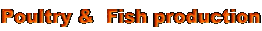 Poultry &  �@Fish production